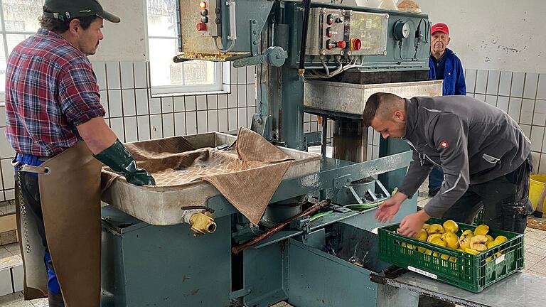 Benedikt Bald aus Duttenbrunn wirft seine in Stücke gehackten Quitten zum Pressen in ein Wasserbad und in die Häcksel- oder Hackmaschine der Kelter, an der Stefan Schlötter das Sagen hat.