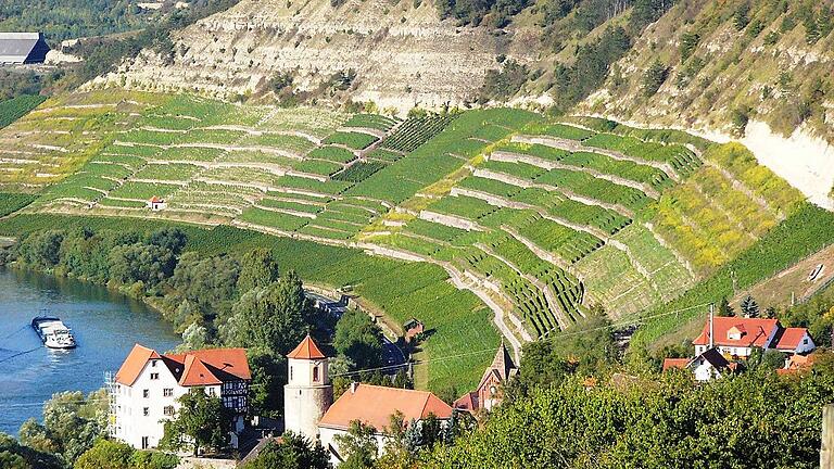 Blick auf die Weinbergslage Homburger Kallmuth, die vom Fürstenhaus Löwenstein-Wertheim-Rosenberg bewirtschaftet wird. Blick auf die Weinbergslage Homburger Kallmuth, die vom Fürstenhaus Löwenstein-Wertheim-Rosenberg bewirtschaftet wird.