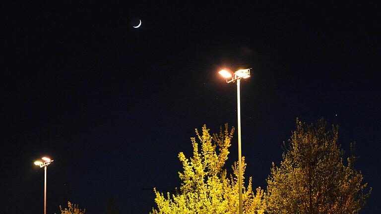 Straßenlampen erleuchten die Nacht - das belastet Insekten und viele Tiere.       -  Straßenlampen erleuchten die Nacht - das belastet Insekten und viele Tiere.