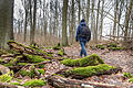 Unterwegs auf dem sechs Kilometer langen Kulturweg 'Wo die Spatzen von den Dächern pfeifen' in Waldbüttelbrunn. Die Tour führt auch durch den Wald.