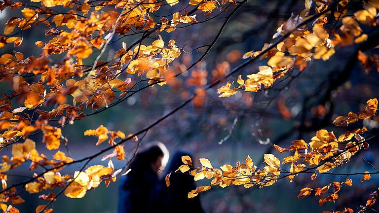 Herbstwetter       -  Im November gibt es nur einen arbeitsfreien Tag.