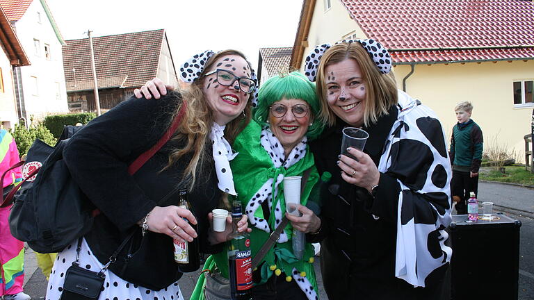 Faschingszug in Oehrberg       -  Tolle Kostüme und gute Laune beim Faschingszug in Oehrberg.