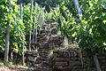 Buntsandstein: Steile Stufen führen hinauf in den Weinberg.