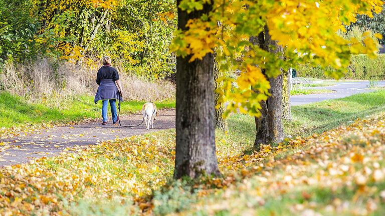 Eine Spaziergängerin genießt mit ihrem Hund den Zeiler Herbst. 364 Vierbeiner sind laut Stadtverwaltung Stand Oktober 2021 dort gemeldet.&nbsp;