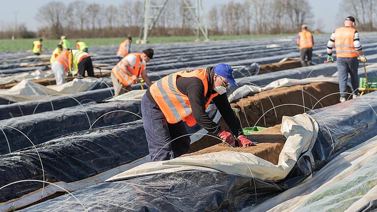 Pro Jahr arbeiten rund 8000 ausländische Saisonarbeiter in Unterfranken auf den Feldern. Dazu kommen rund 2000 bis 3000 Helfer in den Weinbergen. Halten sie die geforderten Hygiene-Regeln ein?