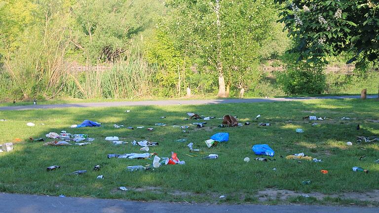 Flaschen, Becher, Verpackungen: An Fronleichnam hat eine Anwohnerin in der Würzburger Sanderau diesen Anblick fotografisch festgehalten.