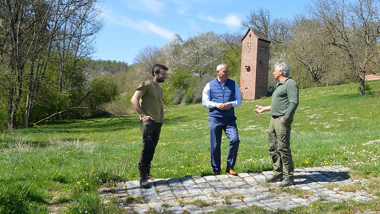 Sven Reinhart (links) und sein Vater Walter Reinhart (rechts) zeigten Bürgermeister Thomas Stamm (Mitte) auch das Trafohäuschen in Eichenfürst, in dem aktuell Turmfalken und Dohlen nisten.