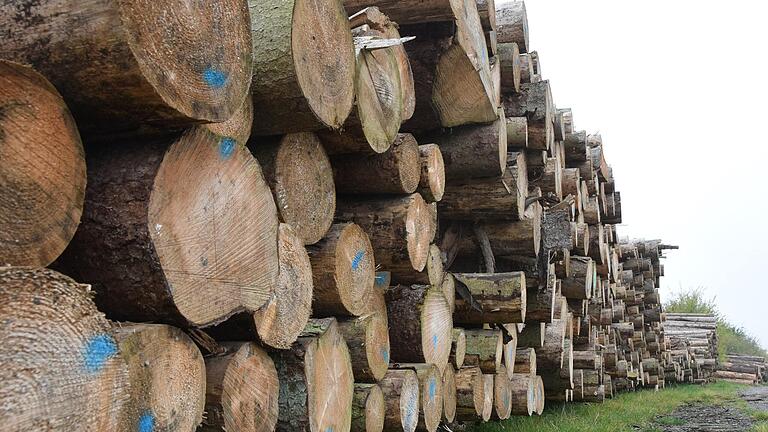Holz ohne Ende: Die Forstbetriebsgemeinschaft Fränkische Rhön und Grabfeld hat so viel Holz vermarktet wie noch nie.
