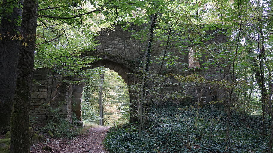 Im Landschaftsgarten der Bettenburg können sich Besucher die Beine vertreten. Im Landschaftsgarten der Bettenburg können sich Besucher die Beine vertreten.