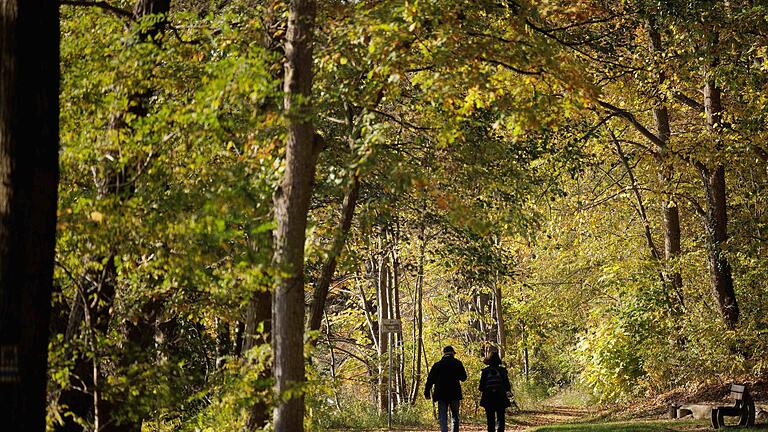 Passanten gehen bei strahlender Herbstsonne spazieren       -  Bewegung ist die beste Medizin: Schon 160 Minuten Gehen pro Woche können helfen, Kreuzschmerzen vorzubeugen.