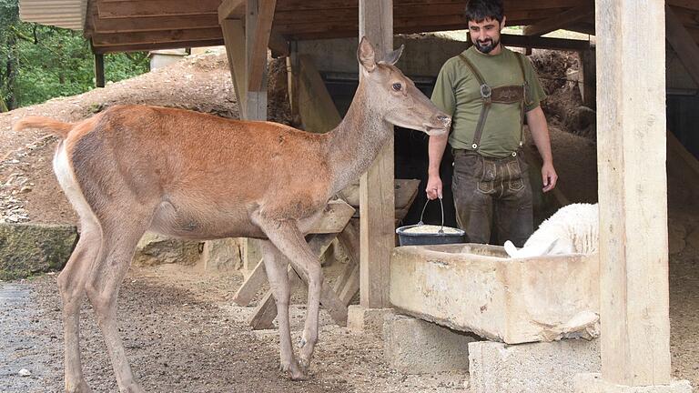 Jörg Damm hat aus dem ehemaligen Munitionslager der Mellrichstädter Kaserne ein beliebtes Ausflugslokal mit einem Tiergehege gemacht. Jörg Damm hat aus dem ehemaligen Munitionslager der Mellrichstädter Kaserne ein beliebtes Ausflugslokal mit einem Tiergehege gemacht.
