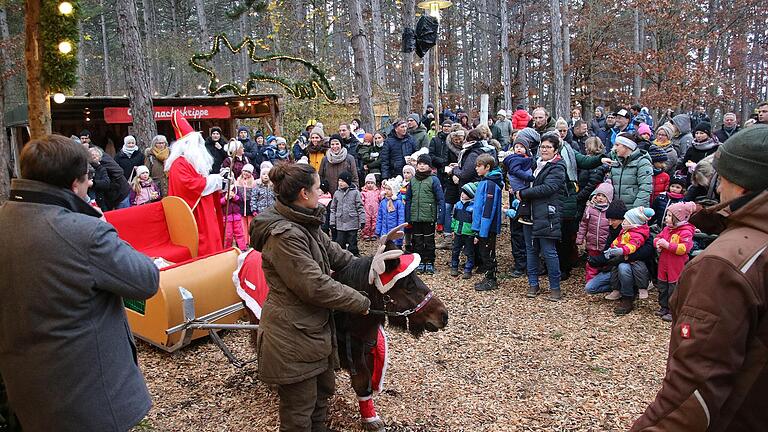Da staunten die kleinen Gäste, als der Nikolaus mit seinem Schlitten zur Leinacher Waldweihnacht kam. Da staunten die kleinen Gäste, als der Nikolaus mit seinem Schlitten zur Leinacher Waldweihnacht kam.