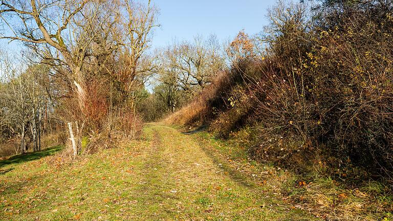 : Die Wanderung geht durch kleine Wiesenwege. : Die Wanderung geht durch kleine Wiesenwege.