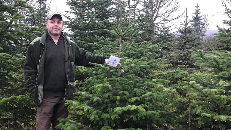 Seit 38 Jahren betreibt Richard Hochrein seine Christbaumkultur bei Kleinsteinach. Hat sich jemand einen Baum ausgesucht, wird dieser mit einem Zettel markiert und kann kurz vor Weihnachten abgeholt werden.