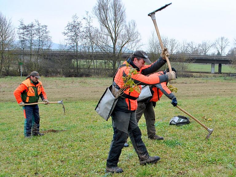 Eine Million zusätzliche Bäume in Bayern pflanzen, für diesen Plan werden neue Waldflächen angelegt.