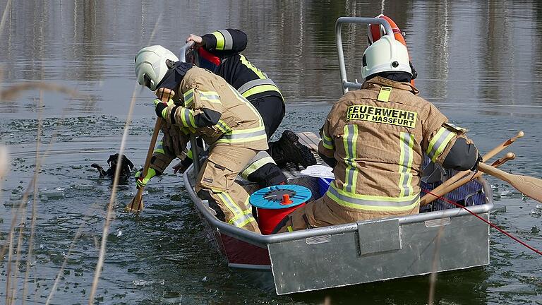 Gleich ist es geschafft: Mit ihren Paddeln brachen die Feuerwehrleute das Eis auf, um zu der Stelle zu gelangen, an der der Hund im kalten Wasser schwamm. Gleich ist es geschafft: Mit ihren Paddeln brachen die Feuerwehrleute das Eis auf, um zu der Stelle zu gelangen, an der der Hund im kalten Wasser schwamm.