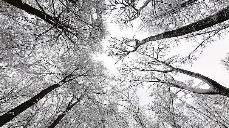 Daniel Peter       -  Winter Wonderland: Schnee bedeckt den Weg vom Alten Basaltwerk bei Stangenroth zur Kissinger Hütte am Feuerberg in der Rhön. Zahlreiche Menschen suchten am Wochenende Erholung in dem verschneiten Mittelgebirge.