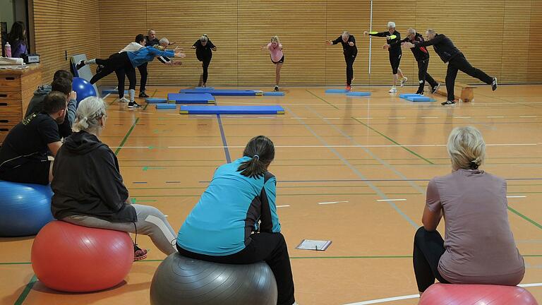 In der abwechslungsreichen BLSV-Übungsleiter-Fortbildung mit dem Titel „Mit Schwung durch den Winter“ hatten die 30 Übungsleiter/innen mit der Diplom-Fitness-Fachwirtin und Kommunikationstrainerin Petra Kühlmann eine sehr kompetente Fachlehrkraft zur Seite.