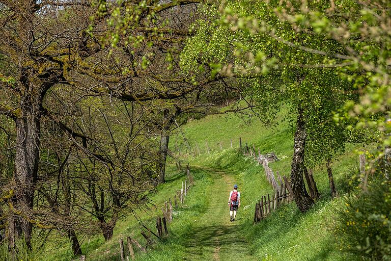 Wiesenwege führen durch abgeschiedene grüne Täler. Wiesenwege führen durch abgeschiedene grüne Täler. 