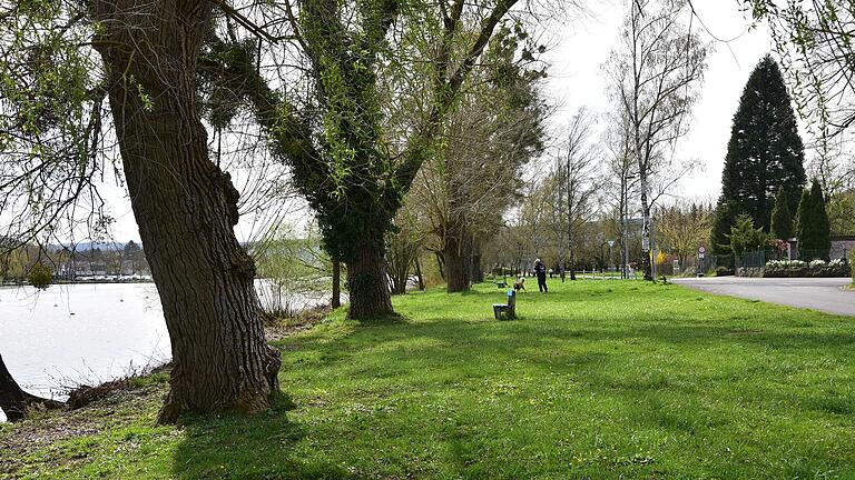 Idyllische Lage: Mainlände in Margetshöchheim. Idyllische Lage: Mainlände in Margetshöchheim.