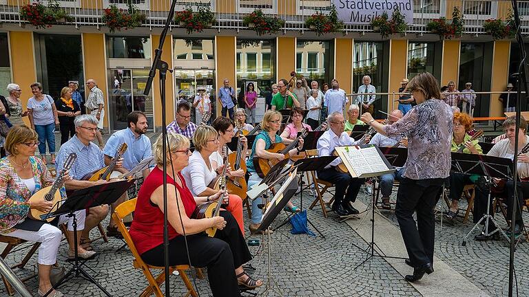 Das Mandolinen- und Gitarrenorchester der Naturfreunde Schweinfurt.
