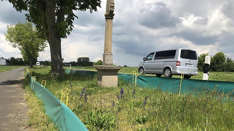 An der Alitzheimer Straße, dort wo die Einfahrt zum Norma-Logistikzentrum gebaut wird, wird derzeit großflächig nach einer möglichen Eidechsen-Population gesucht. An der Alitzheimer Straße, dort wo die Einfahrt zum Norma-Logistikzentrum gebaut wird, wird derzeit großflächig nach einer möglichen Eidechsen-Population gesucht.