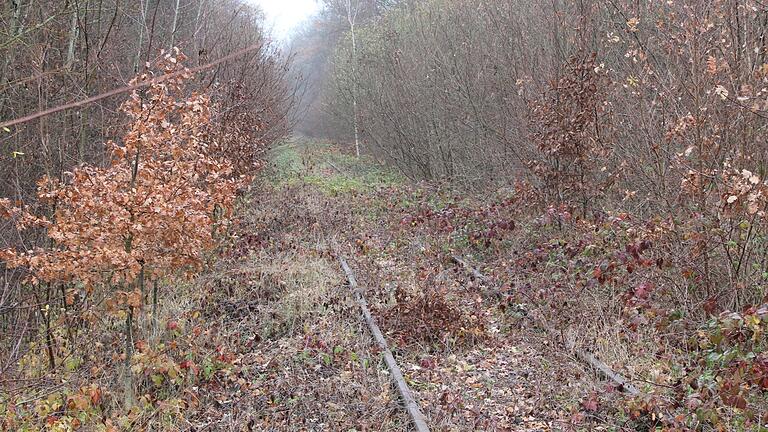 Bleibt der Stadtrat bei seiner ablehnenden Haltung gegen die stillgelegte Steigerwaldbahn oder deutet sich ein Meinungsumschwung im Gremium an? Bleibt der Stadtrat bei seiner ablehnenden Haltung gegen die stillgelegte Steigerwaldbahn oder deutet sich ein Meinungsumschwung im Gremium an?