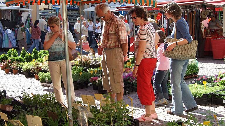 Am Sonntag, 10. April,&nbsp; wird die Marktsaison in Bischofsheim mit einem Blumen- und Frühlingsmarkt eröffnet.