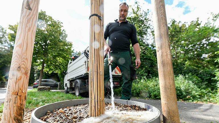 Landschaftsgärtner Joachim König befüllt einen Bewässerungsring in der Robert- Bunsen-Straße. So soll das Gießen schneller gehen.