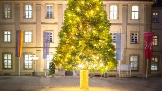 In diesem Jahr singen am Sonntag, 17. Dezember, um 18 Uhr Bürgerinnen und Bürger rund um den Weihnachtsbaum im Rathaushof traditionelle und beliebte Weihnachtslieder.