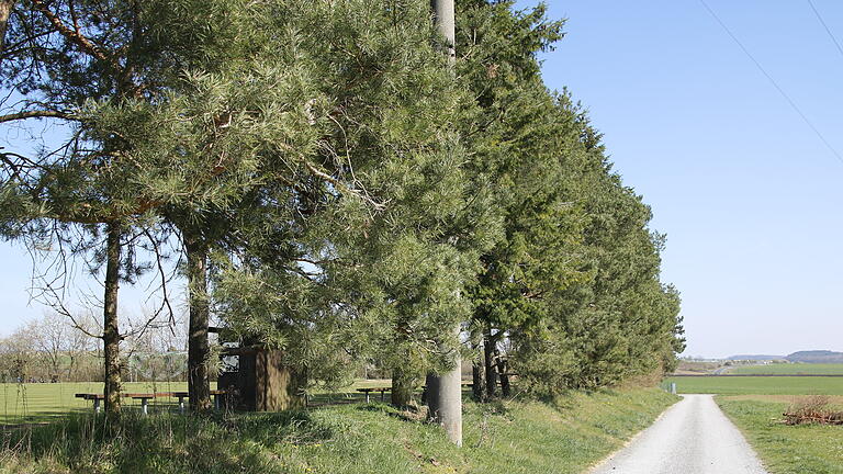 An der Rottershäuser Straße am Sportplatz soll einst ein Bildstock gelegen und noch zuvor die Feiern der Walpurgisnacht stattgefunden haben.       -  An der Rottershäuser Straße am Sportplatz soll einst ein Bildstock gelegen und noch zuvor die Feiern der Walpurgisnacht stattgefunden haben.