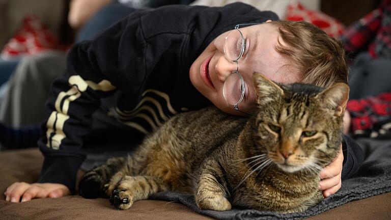 Willi spielt im Wohnzimmer mit Kater Sebbi.