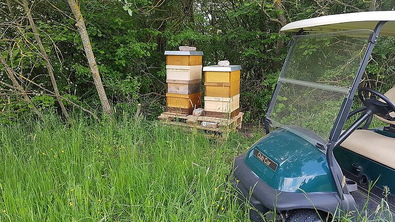 Bienenstöcke am Rande des Golfplatzes Bienenstöcke am Rande des Golfplatzes