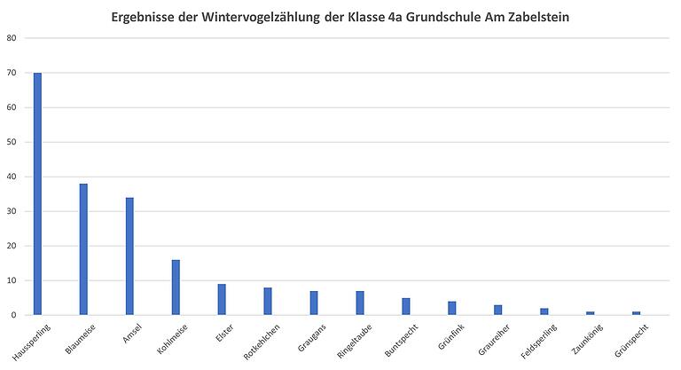 Ergebnisse der Wintervogelzählung der Klasse 4a Grundschule Am Zabelstein. Ergebnisse der Wintervogelzählung der Klasse 4a Grundschule Am Zabelstein.