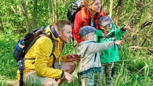 Vom 18. bis 20. Juni feiert der Naturpark Steigerwald e. V. überall im Naturpark seine Gründung vor 50 Jahren mit meist kostenlosen Führungen, Aktionen und Veranstaltungen rund um Natur, Kultur und die Geschichte des Steigerwalds.