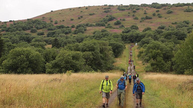 Die Dammersfeldkuppe (im Hintergrund), der höchste Berg Unterfrankens, stand heuer im&nbsp; Mittelpunkt der Wandertage.