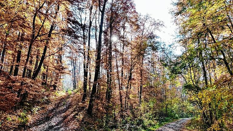 &bdquo;Lebenswege - nur für manche geht's nach oben. Aber Hauptsache der Sonnenschein bestimmt die Richtung&ldquo;, schreibt Rudi Krauß im Dezember 2015. Sein Lebensweg hat viel mit der Geschichte seiner Heimat in Franken zu tun.