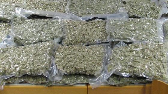 Immer wieder stellen die Beamten in Unterfranken größere Mengen Rauschgift sicher. Im November des letzten Jahres fanden sie rund 50 Kilo Marihuana und Haschisch in einem Lieferwagen. Immer wieder stellen die Beamten in Unterfranken größere Mengen Rauschgift sicher. Im November des letzten Jahres fanden sie rund 50 Kilo Marihuana und Haschisch in einem Lieferwagen.