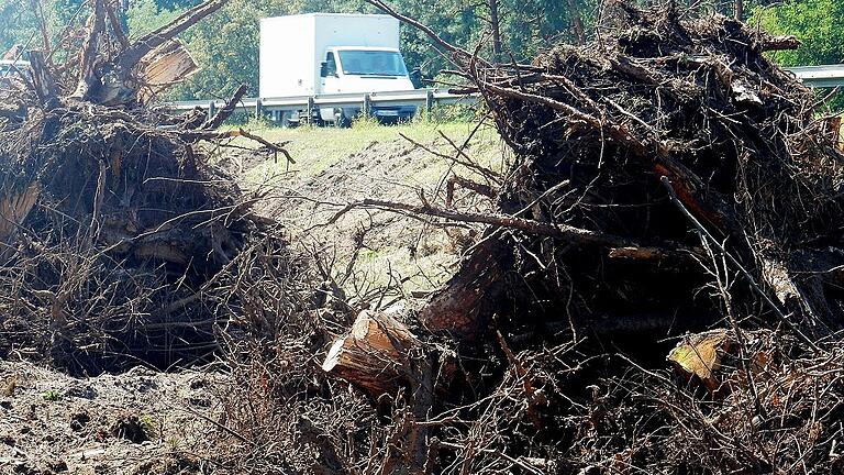 Der Eingriff in den Wald für den autobahnähnlichen Ausbau wird mit Pflanzungen am Schwebheimer Wald (Richtung Gochsheim) ausgeglichen.