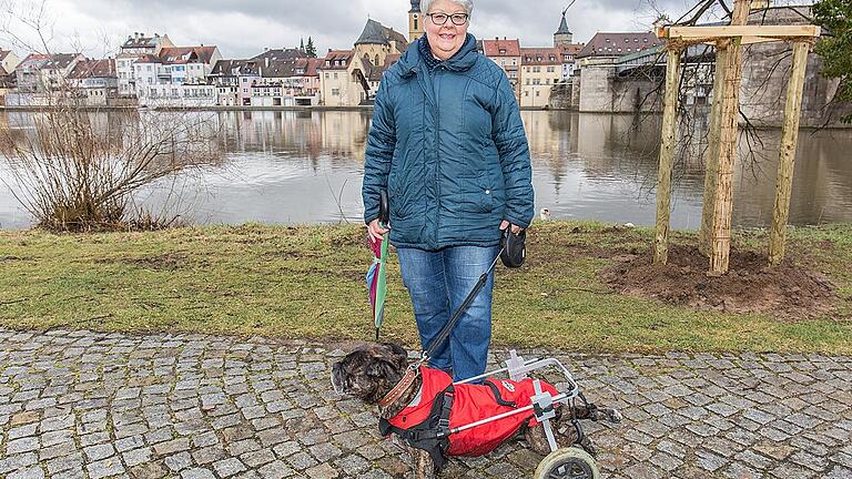 Aramis und Frauchen Christel Wanzek beim Spaziergang am Main.