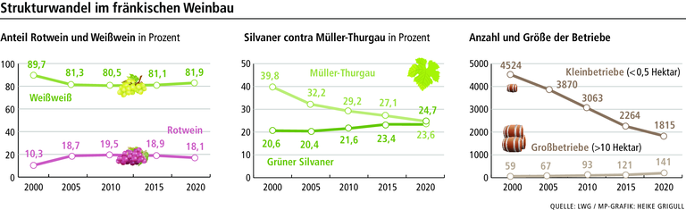 Wie der Klimawandel den Weinbau in Franken verändern wird