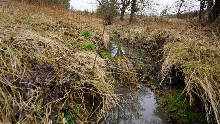 Eine gigantische Menge an Gärresten ist aus einer Biogasanlage in Fuchsstadt (Lkr. Würzburg) ausgetreten: Der Fuchsstädter Bach im Rottenbaurer Grund zwischen Würzburg und dem Stadtbezirk Rottenbauer ist über Jahre biologisch tot.