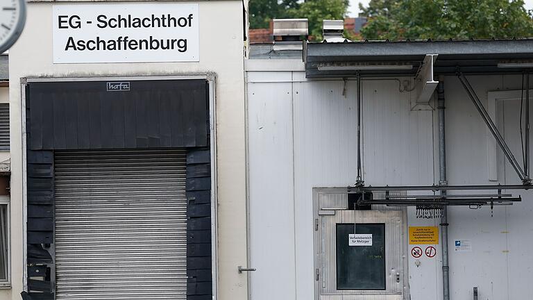 Verdacht der quälerischen Tiermisshandlung: In Aschaffenburg ermittelt die Staatsanwaltschaft nach Veröffentlichungen von Tierrechtlern jetzt gegen den Schlachthof. Die Stadt kündigte zwei Tierärztinnen fristlos.