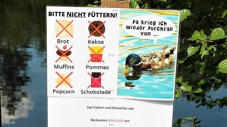 Diese Hinweisschilder hat Peter Ring am See in Prichsenstadt aufgestellt. Nicht von allen werden sie beachtet. Diese Hinweisschilder hat Peter Ring am See in Prichsenstadt aufgestellt. Nicht von allen werden sie beachtet.