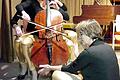 Ein Cello und drei Nutzer.