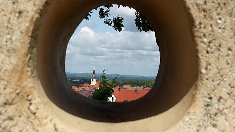 Ihr Fokus liegt auf Wiesenbronn. Bürgermeisterin Doris Paul blickt durch ein Kunstwerk im &bdquo;Wein-Kunst-Weg&ldquo; ihrer Heimatgemeinde.