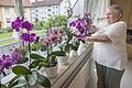 Trotz ihres Handicaps, der Vollblindheit, hat Maria Söldner ihren Humor bewahrt. Die 75-Jährige hegt und pflegt leidenschaftlich ihre Orchideen neben weiteren Pflanzenarten in ihrer Wohnung und auf dem Balkon.