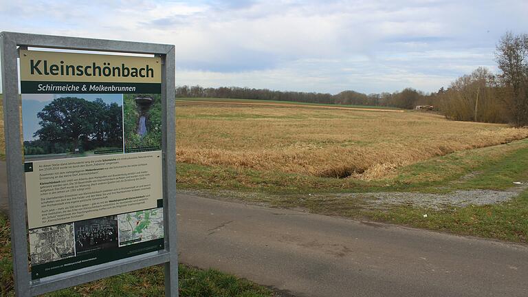 Auf dieser Fläche&nbsp; nordöstlich von Prichsenstadt im Bereich von Kleinschönbach könnte eine Fläche für Windräder entstehen.