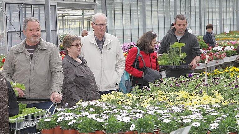 Das waren noch Zeiten, als die Besucher in die Gärtnereien strömten, um Frühjahrsblüher einzukaufen. Wegen der Corona-Krise sind die Betriebe bis Anfang April geschlossen. Wichtige Einnahmen gehen verloren. Archiv Das waren noch Zeiten, als die Besucher in die Gärtnereien strömten, um Frühjahrsblüher einzukaufen. Wegen der Corona-Krise sind die Betriebe bis Anfang April geschlossen. Wichtige Einnahmen gehen verloren. Archiv