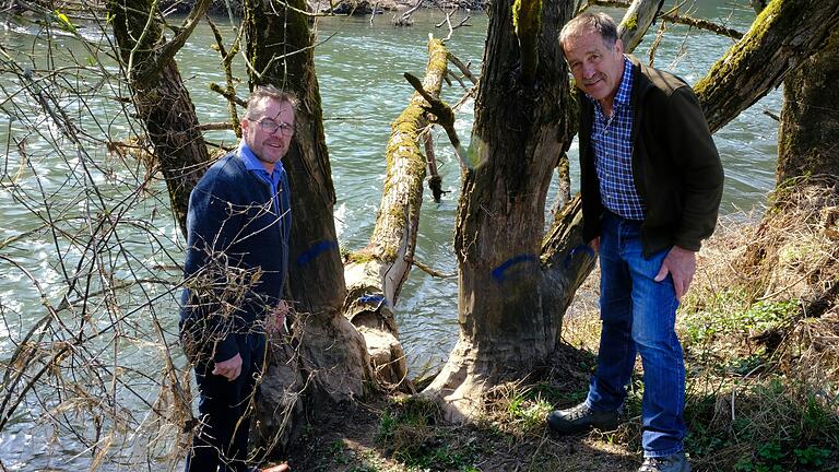 Edgar Thomas (links) und Albrecht Leurer inspizieren&nbsp; eine Gefahrenstelle in der Saale. Hier blockiert ein umgefallener Baum den Strom.&nbsp; &nbsp;&nbsp;